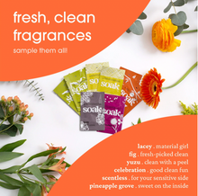 Soak Laundry Soap Minis       (1 tsp/5 mL)