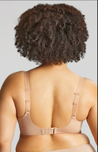 Panache Elegance Honey