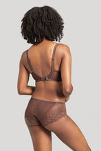 Panache Envy Brief Chestnut