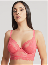 Panache Selena Paradise Pink