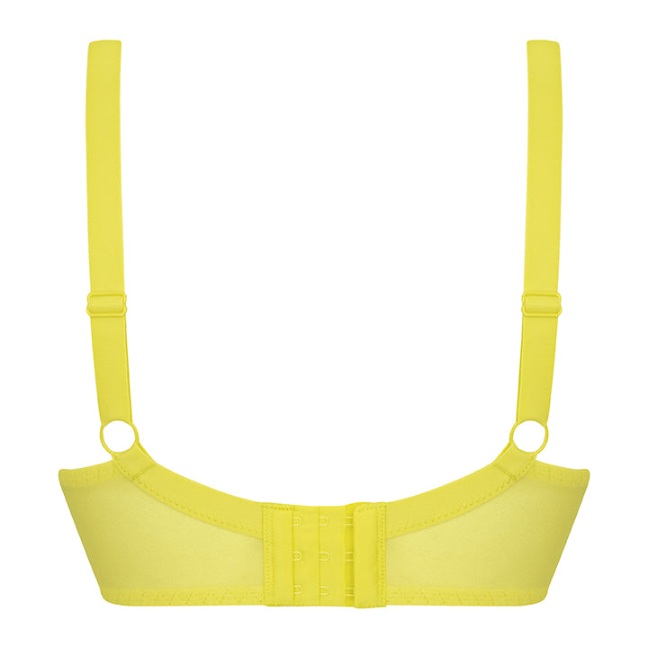 Curvy Kate Lifestyle Lemon Uplifting, LLC