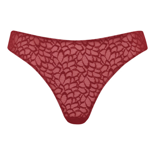 Curvy Kate Love Me Lace Brazilian Claret