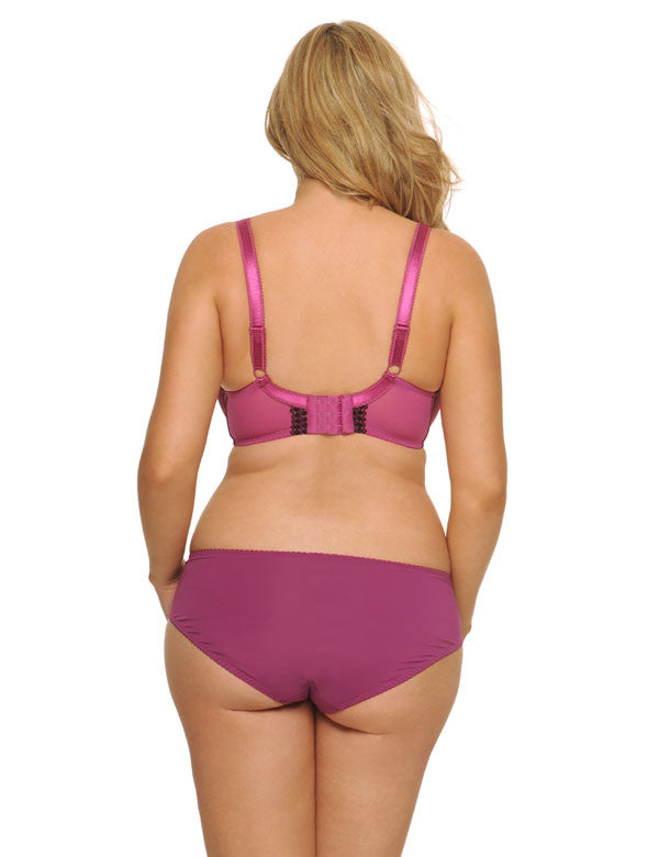 Curvy Kate Gia Brief Boysenberry/Black – Uplifting, LLC