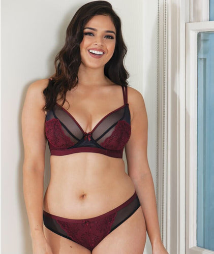 Curvy Kate Dragonfly Black/Wine