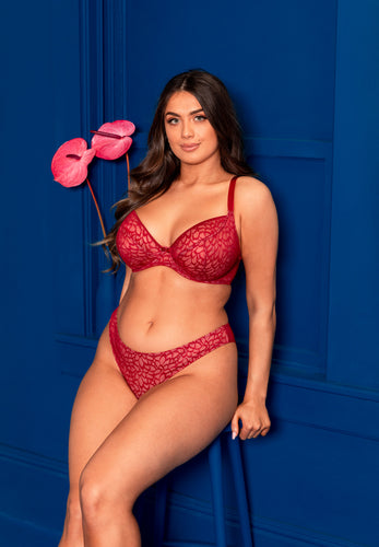 Curvy Kate Love Me Lace Claret