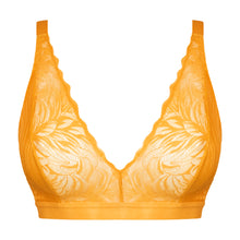 Curvy Kate Lace Daze Bralette Mango
