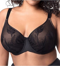Elila Tulip Embroidered Underwire Black